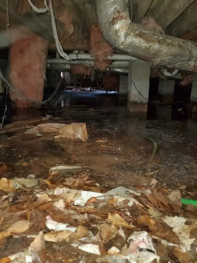Crawl space flood assessment for Commercial Water Damage Restoration in Greenville